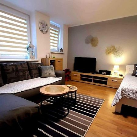 Apartamet 45 Płock Kültér fotó